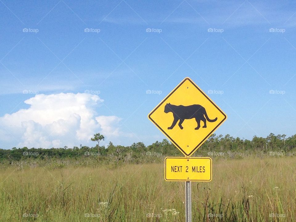 Everglades warning