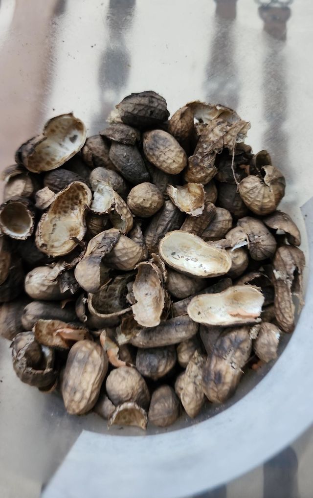 peanuts