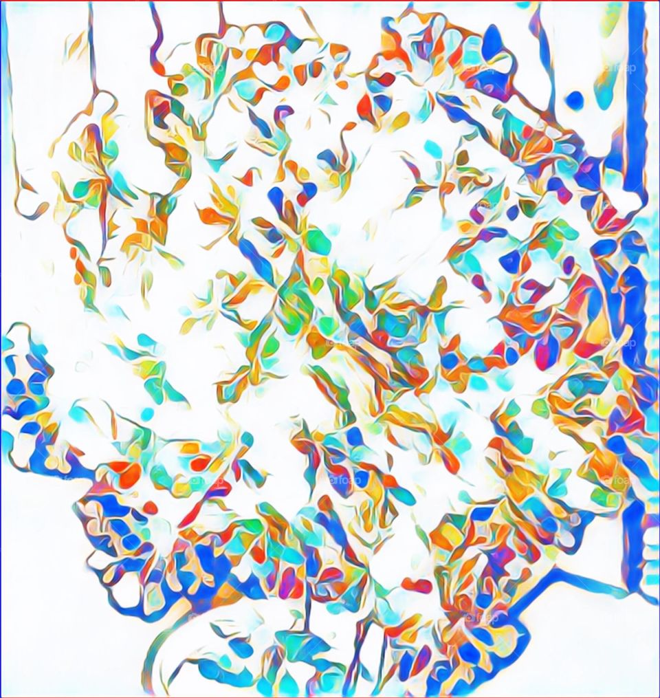 Abstract of a Queen Anne’s Lace in Bloom