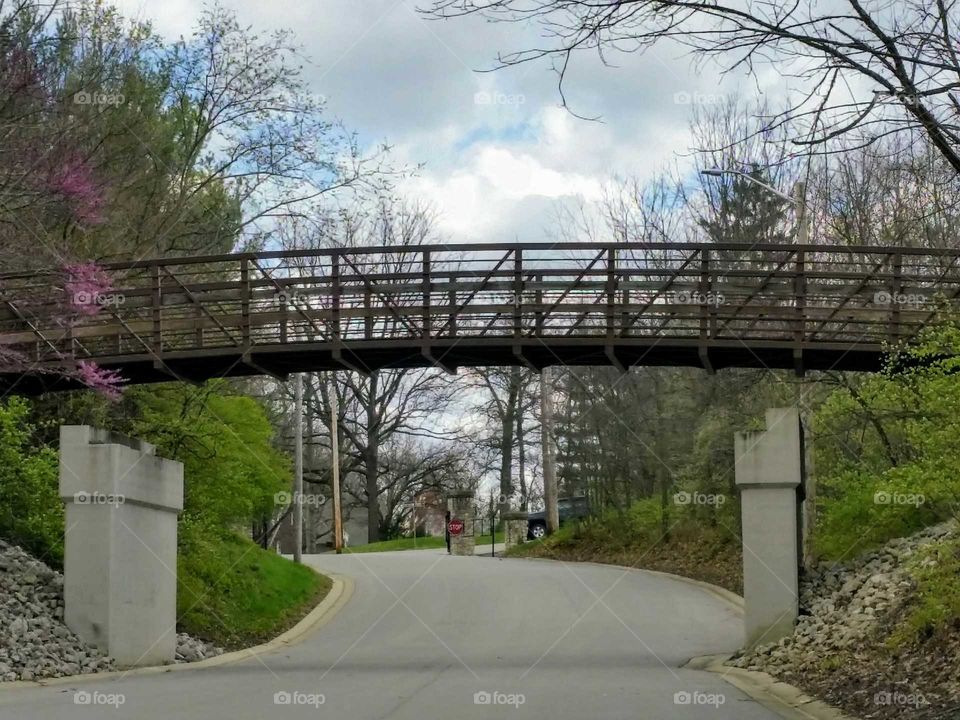 Bike Trail Bridge in the Spring