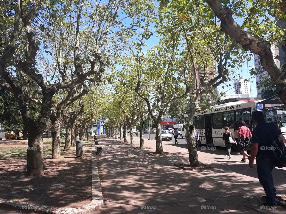 Album Distrito San Miguel. Plaza  Las Carretas. Muñiz. Provincia de Buenos Aires. República Argentina