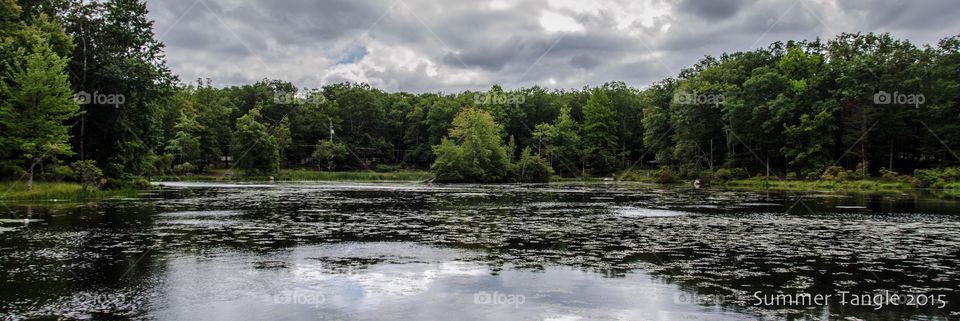 At the lake