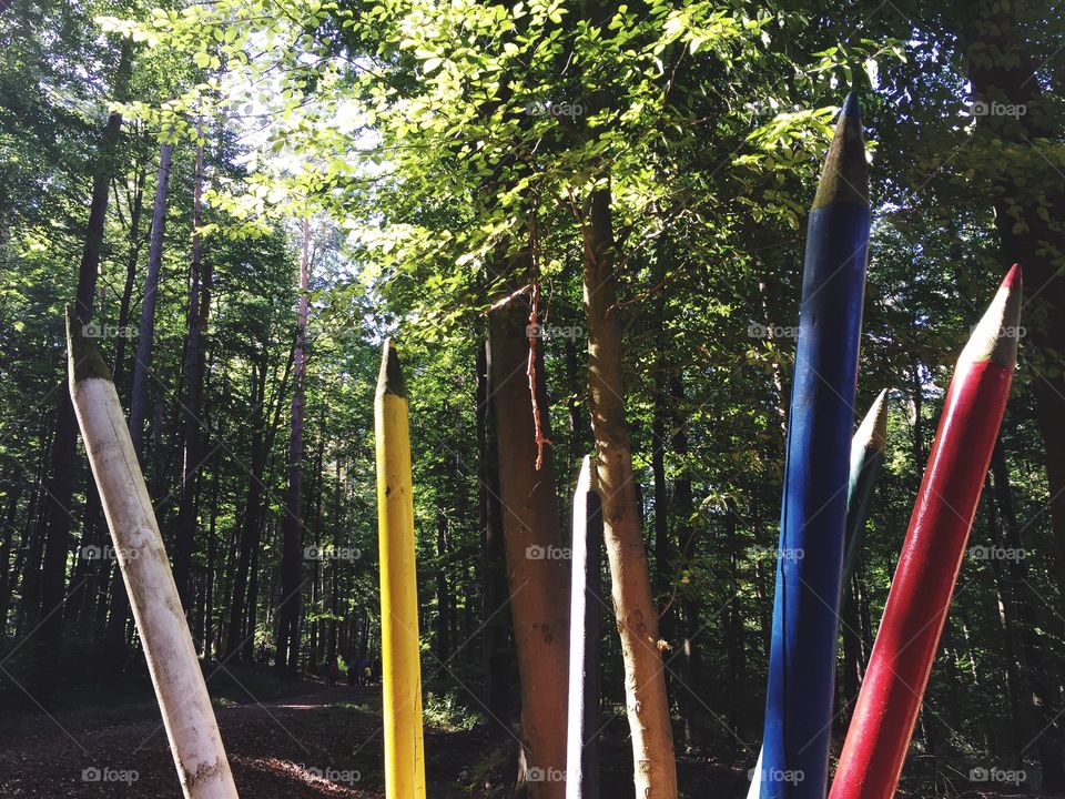 Huge pencils in the Forest 