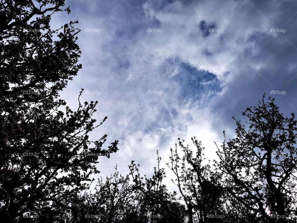 Beautiful sky with clouds