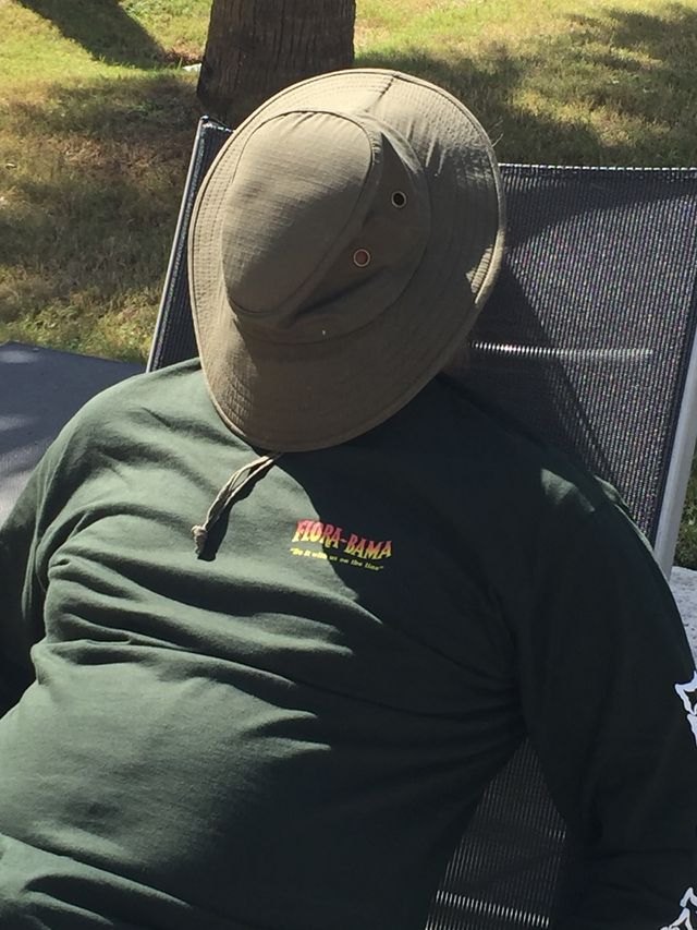 Summer Nap