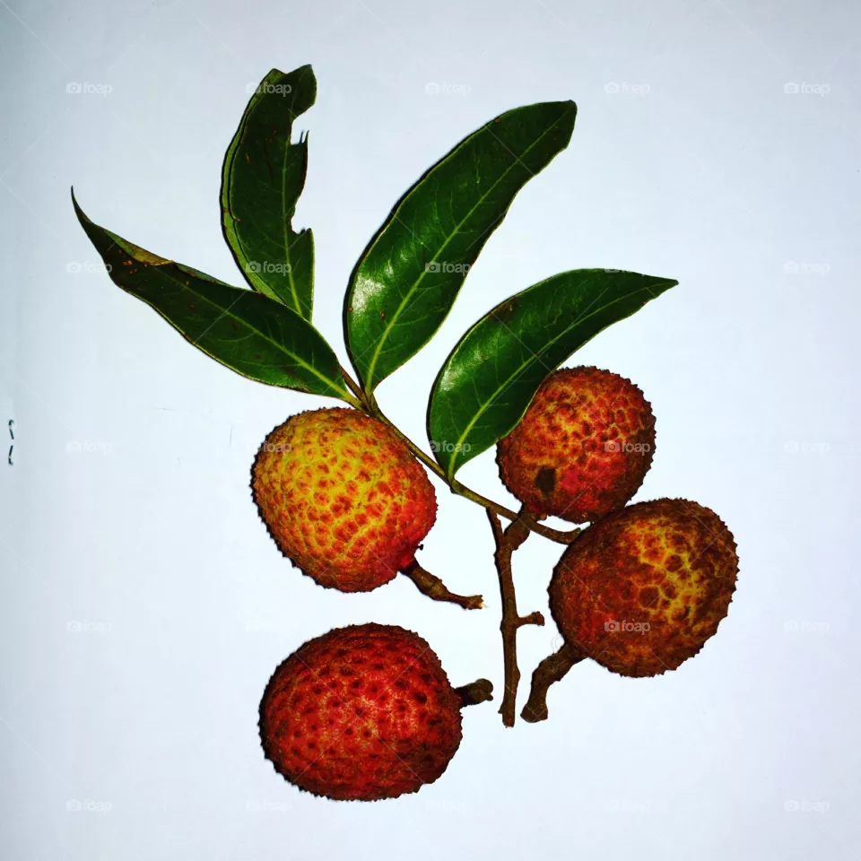 leechi