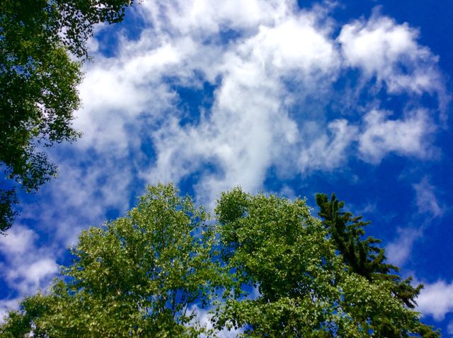 Sky