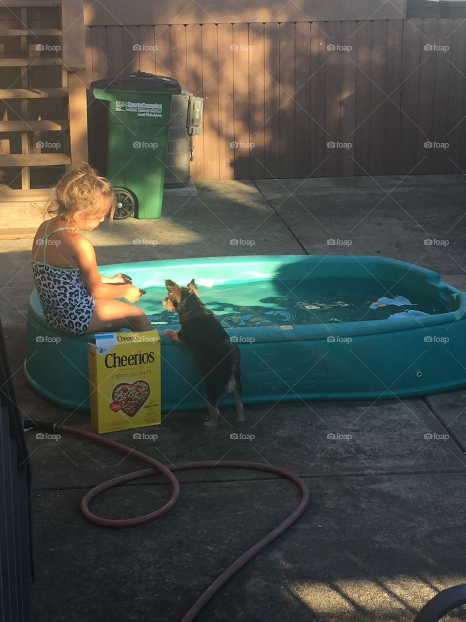 My niece playing in the pool while out dog gidget watch’s her 