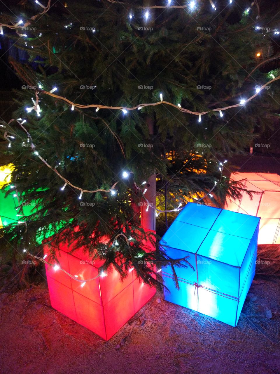 Christmas, Christmas Tree, Winter, Event, Box