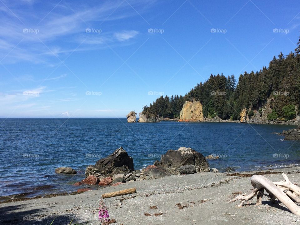 Beach in Seldovia Alaska