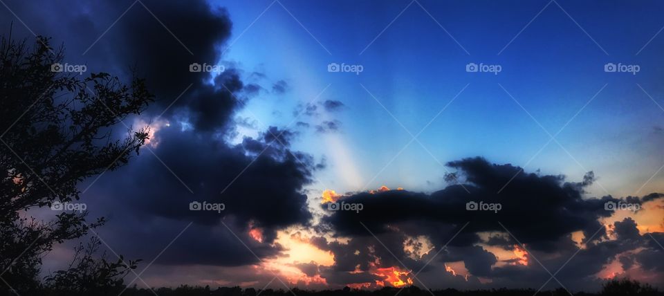 Fall(ing) with the sun