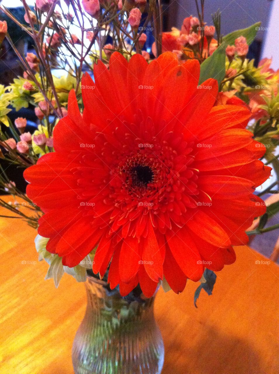 Orange daisy. Flowers for anniversary