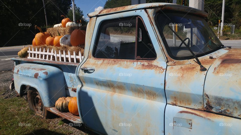 side of old truck with pumpkins