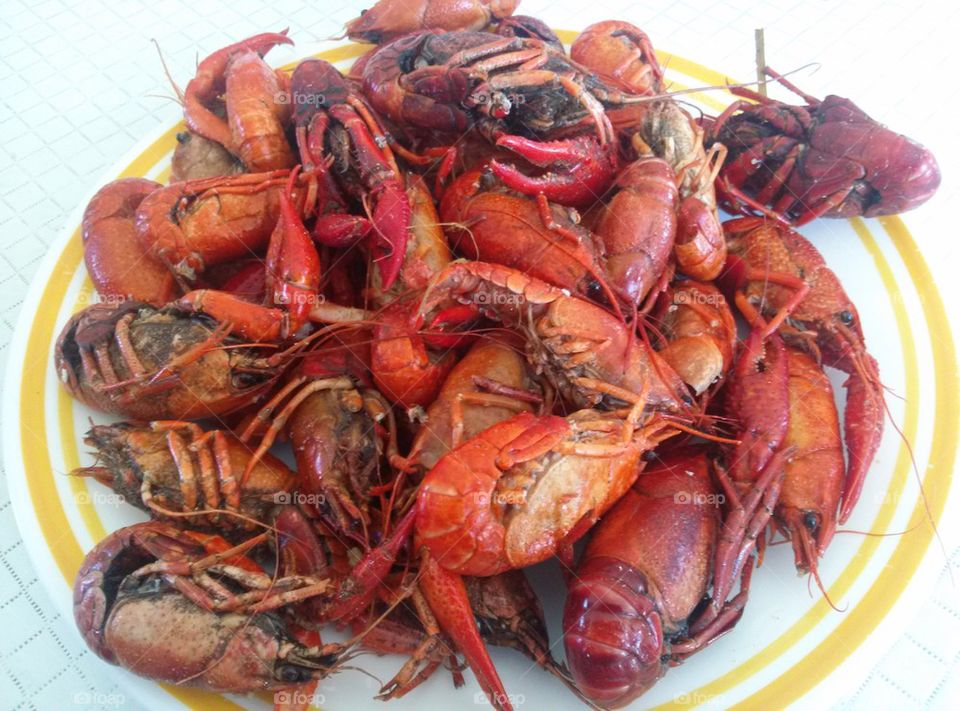 Crayfish