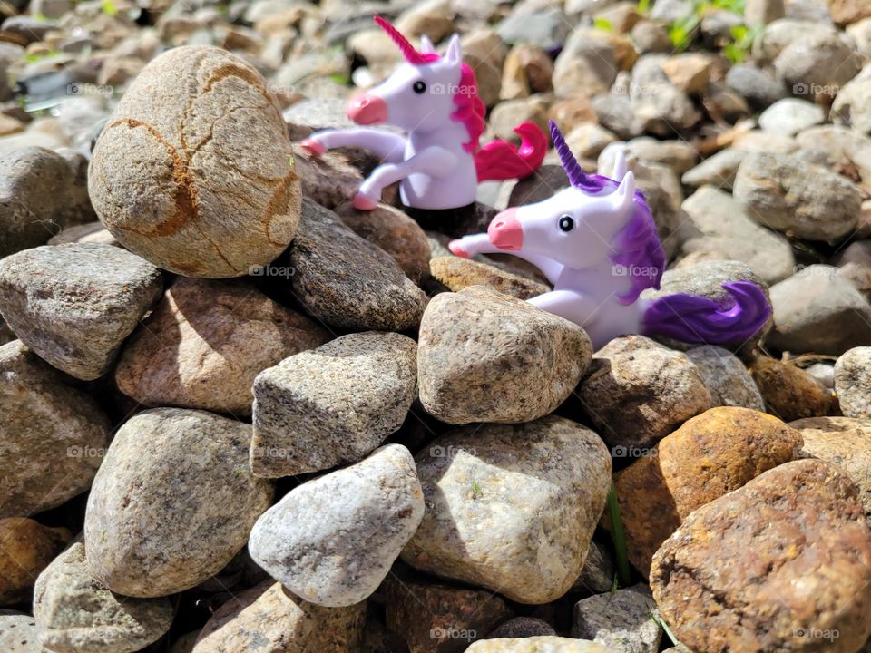 and then the unicorns tried rock climbing I swear