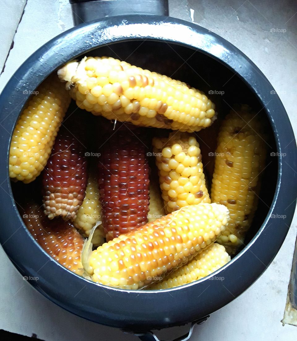 Maize (boiled, ready to serve)