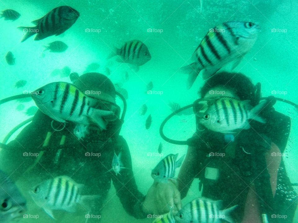 fish peixe mergulho