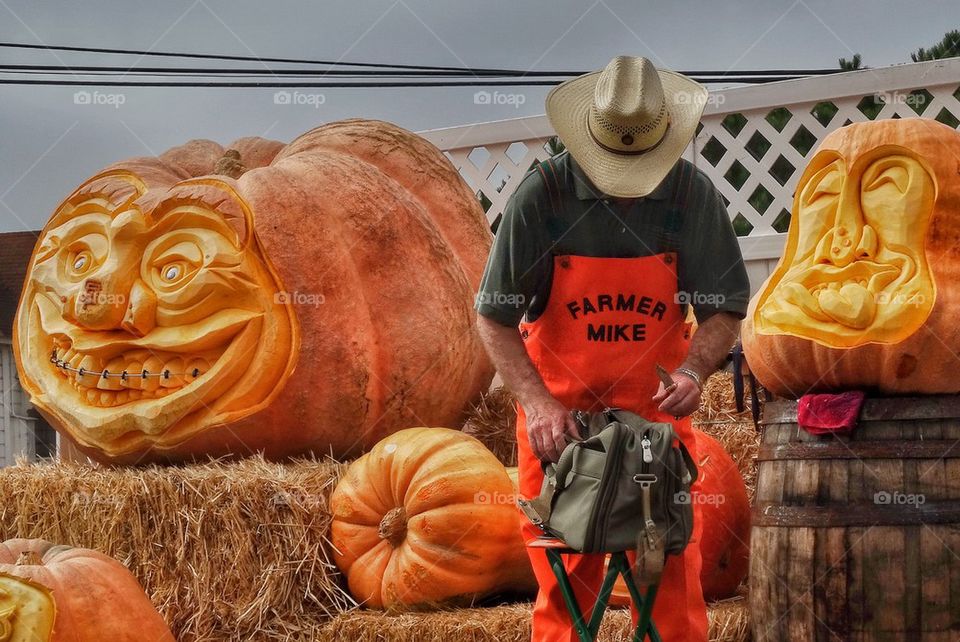 Giant Pumpkins