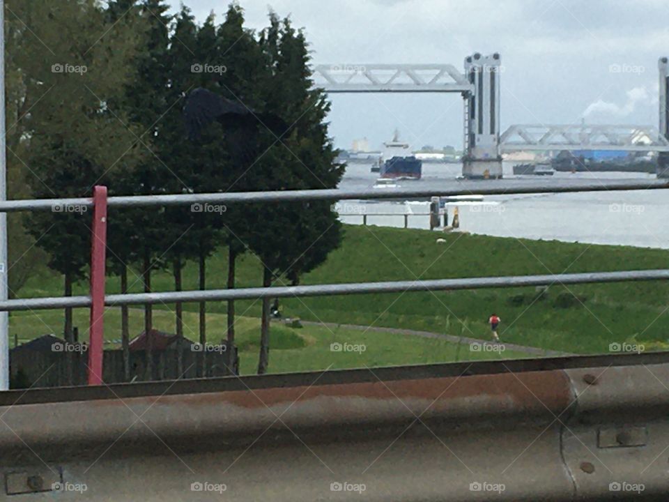 Boat from under bridge, bird flying. 