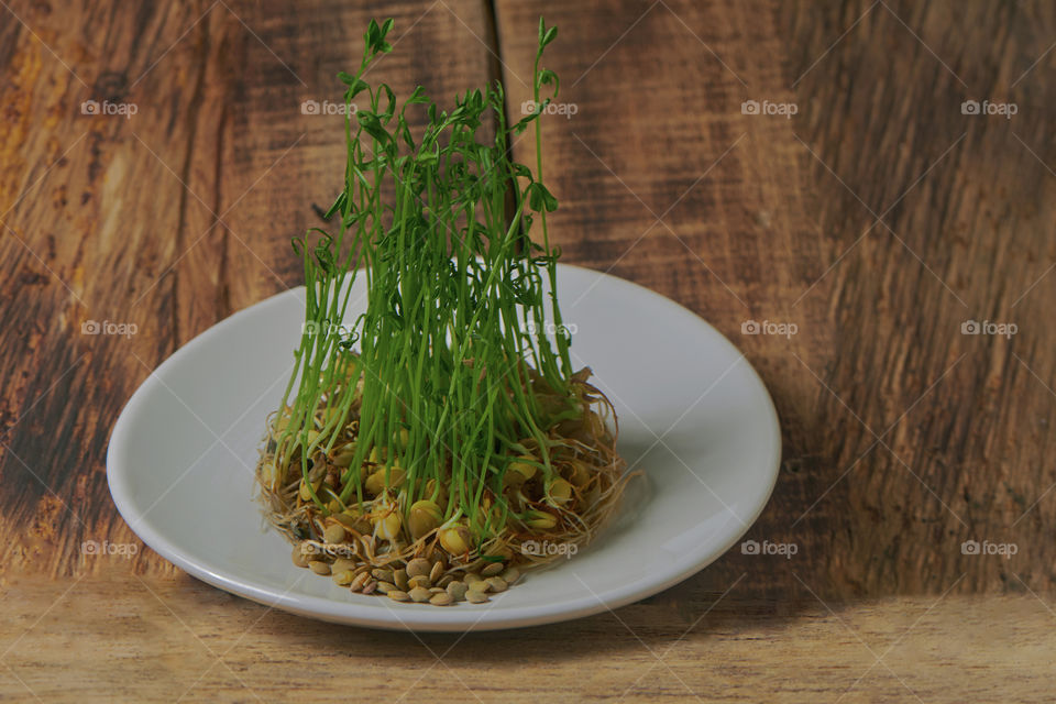 Lentil sprouts in the foreground