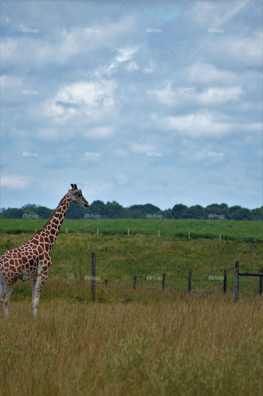 How can I get out of here.