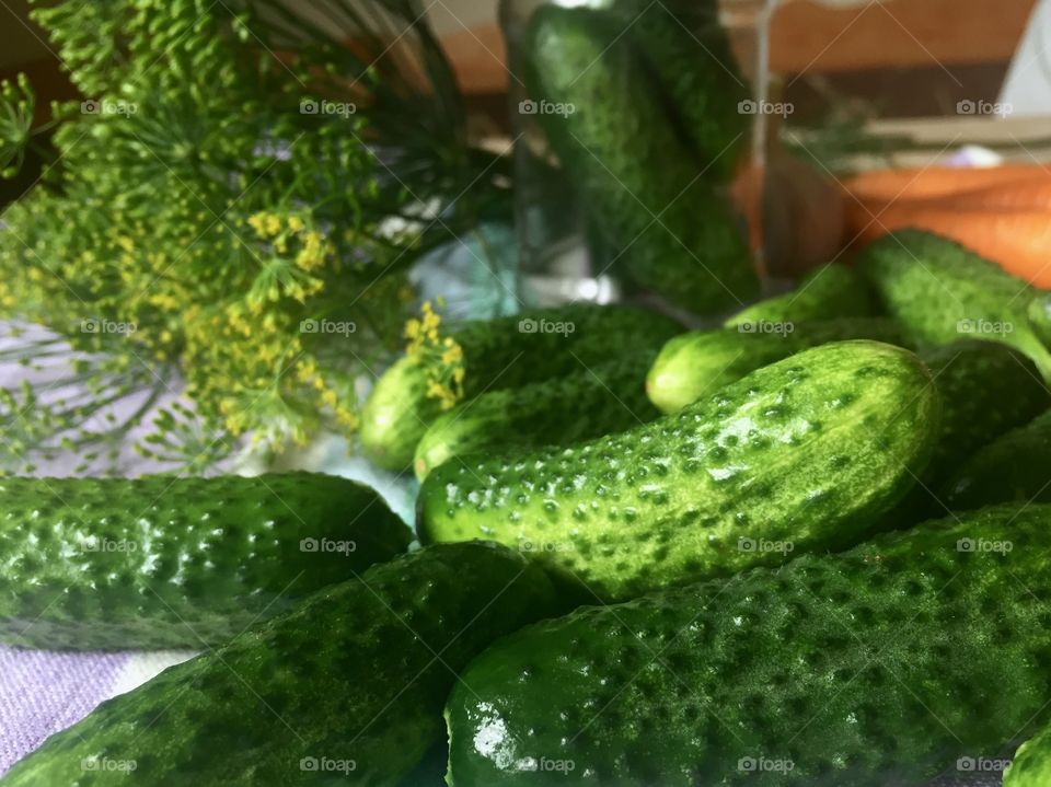 Close-up of of cucumber