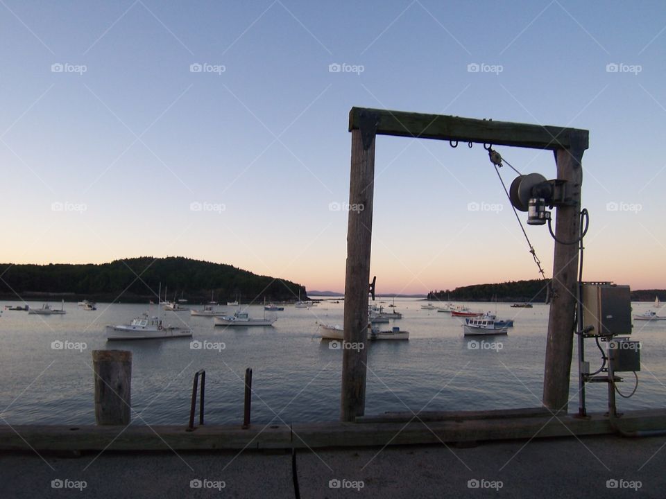 sail boats harbor