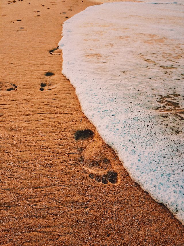 beaches 