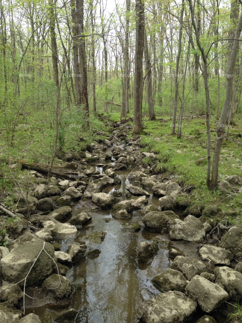 Foreign Land. Beautiful scenery on this lovely walk.