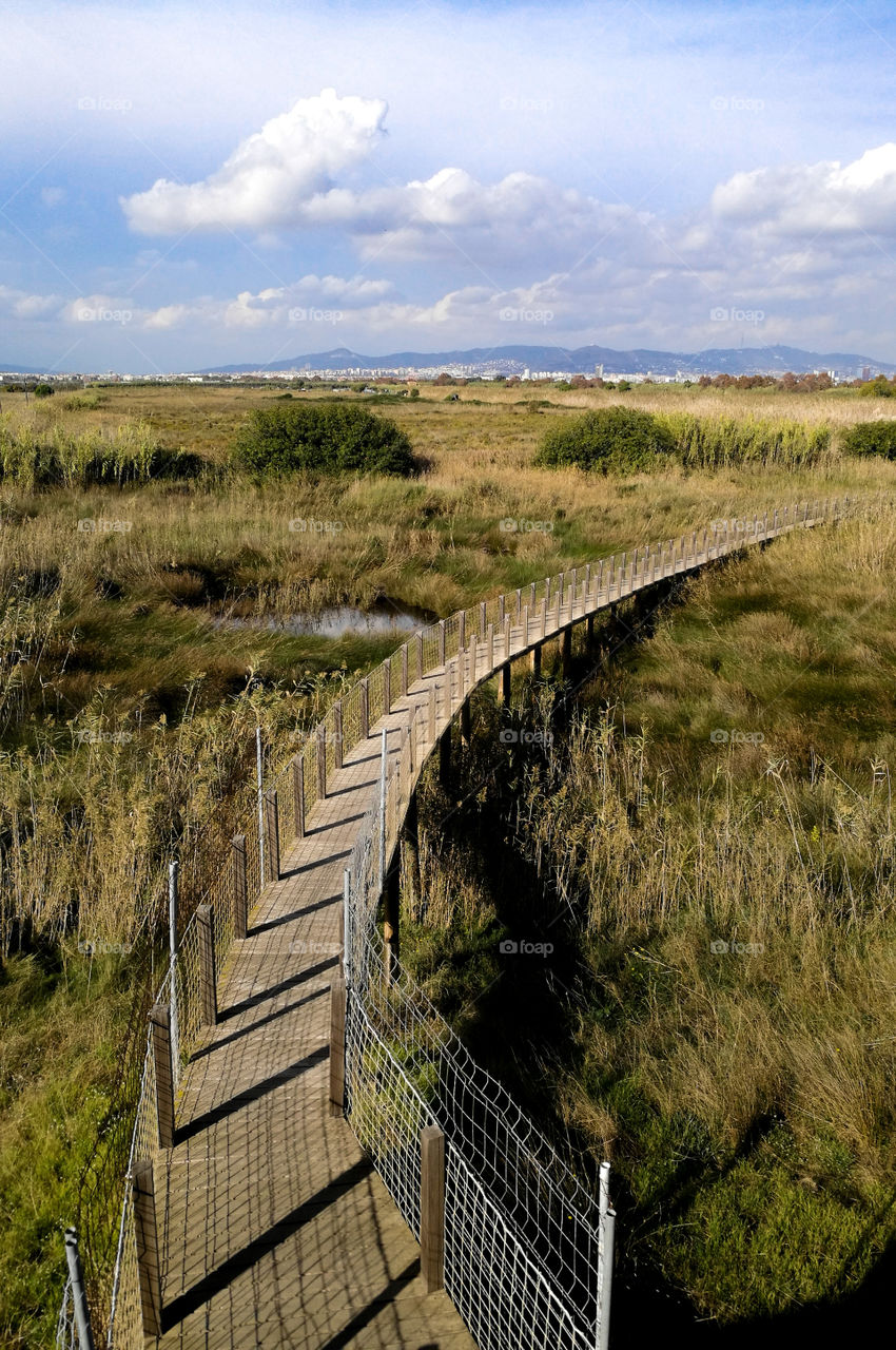 landscape of a field with a wooden path during day 