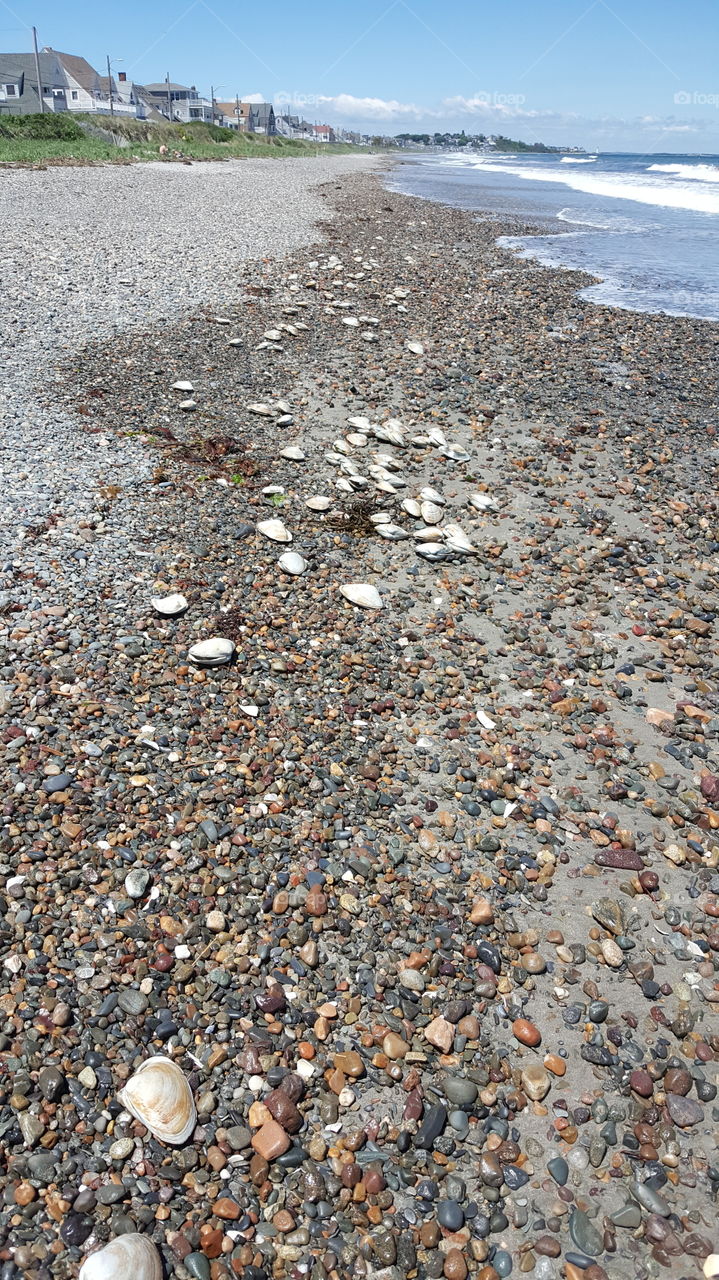 Sea Shells by the Seashore