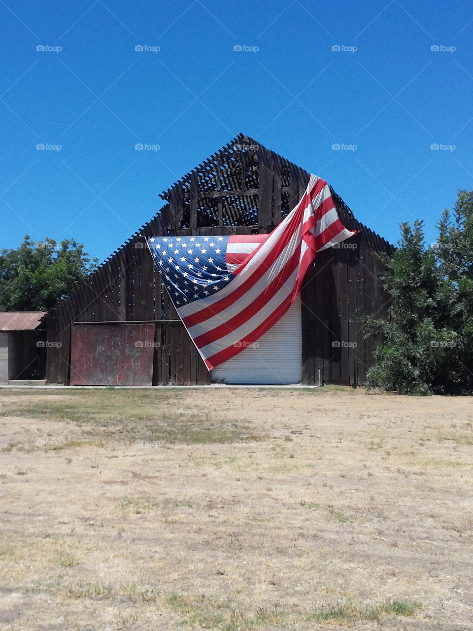 Flag barn