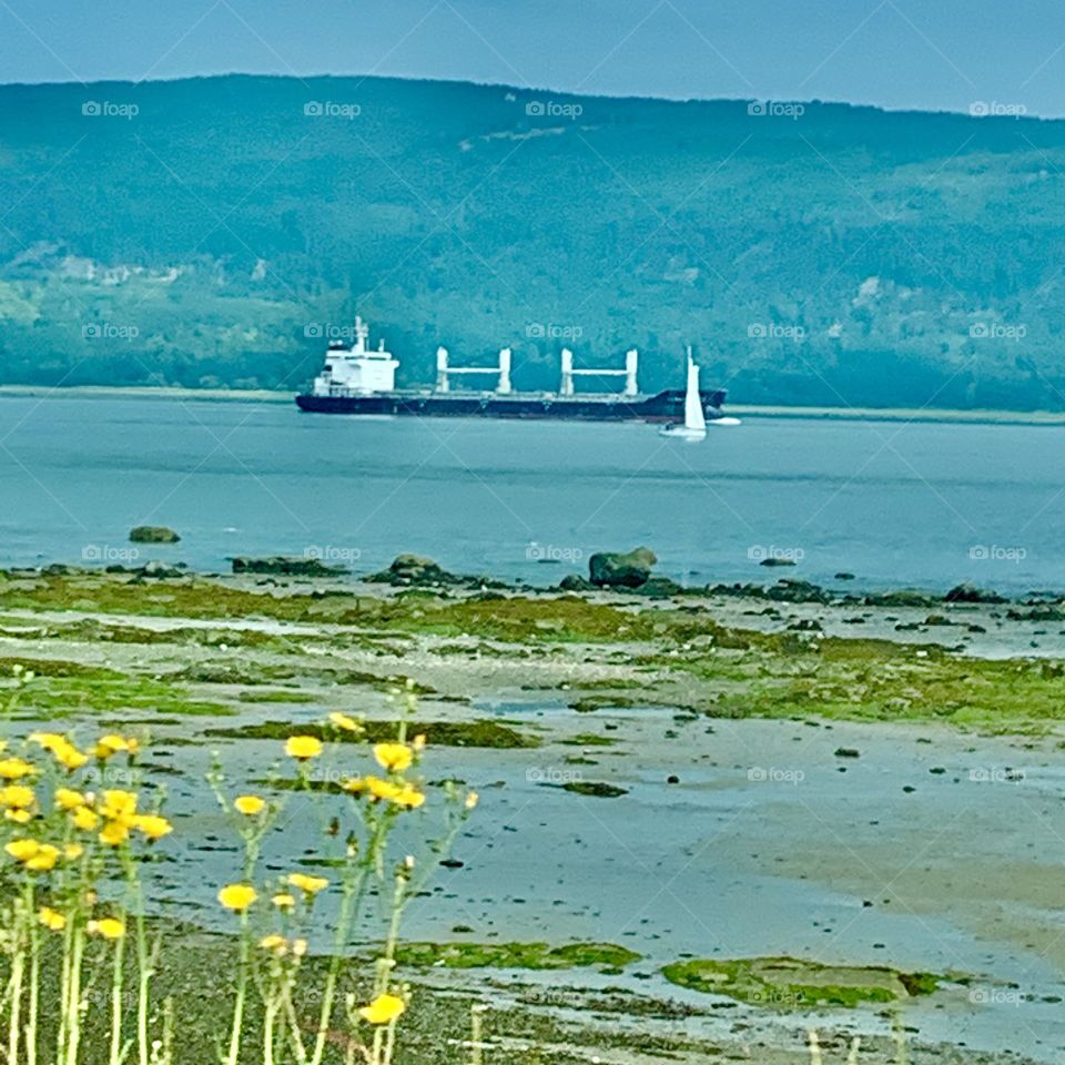 View of a ship at the low tide of Isle-aux-Coudres, Quebec, Canada