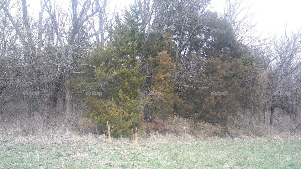 hunting stand