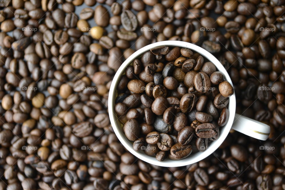 Directly above shot of roasted coffee beans in cup