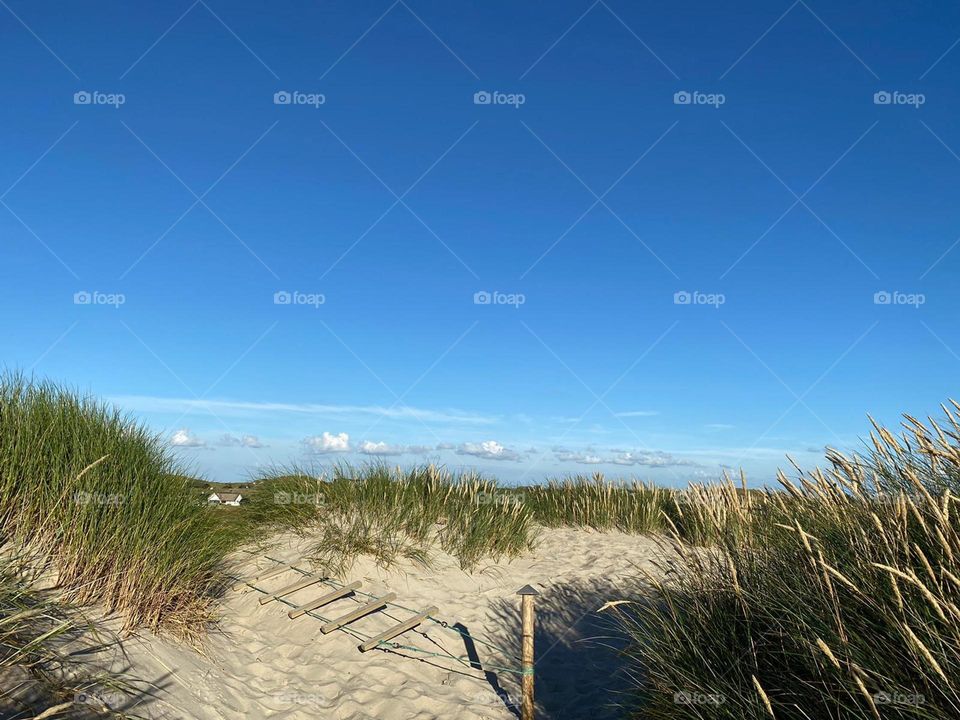 Düne mit etwas Strandhafer, der blaue Horizont ist in der Ferne mit kleinen Wölkchen verhangen/ Dune with some beach grass, the blue horizon is covered with small clouds in the distance