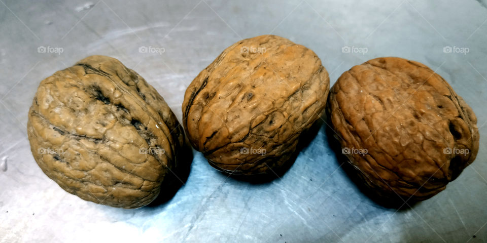 in Sicily there is a saying that a walnut in a sack makes no noise but two or three walnuts in a sack make a noise. This means that a crowd can get justice, but one person alone will not be able to achieve anything.