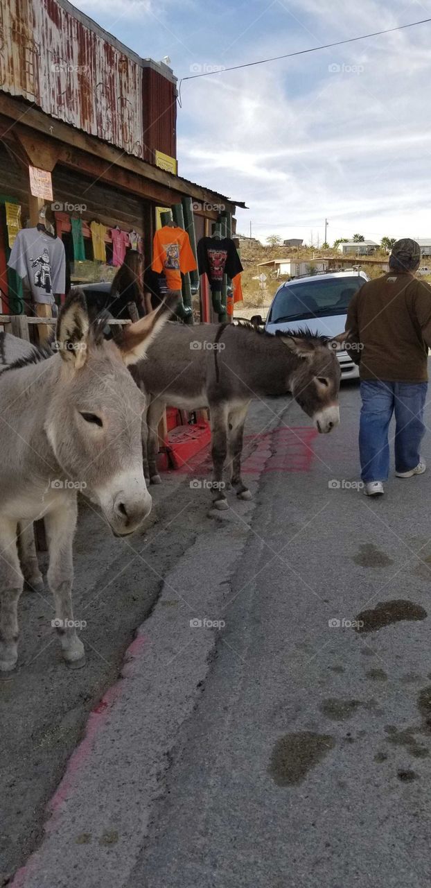 your local treasures