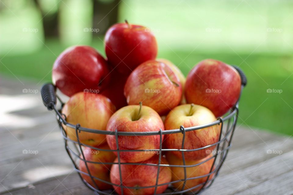 Fruits! - Apples in a wire basket on a weathered wooden surface against a background of blurred trees