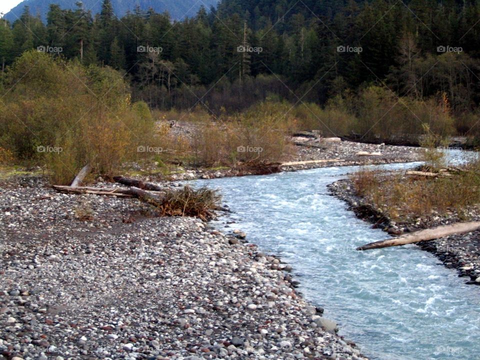Carbon River