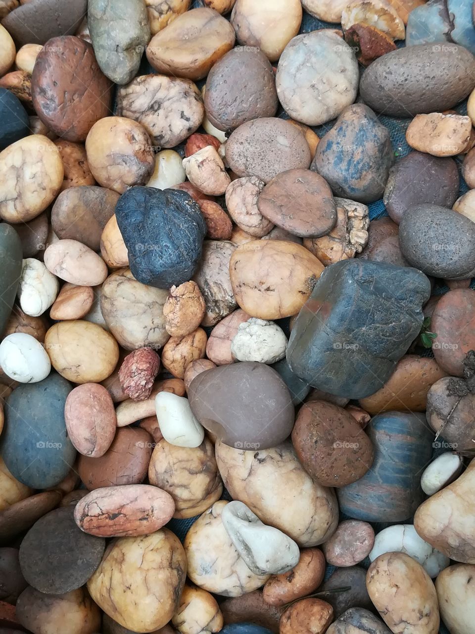 Pebble stone in multicolor