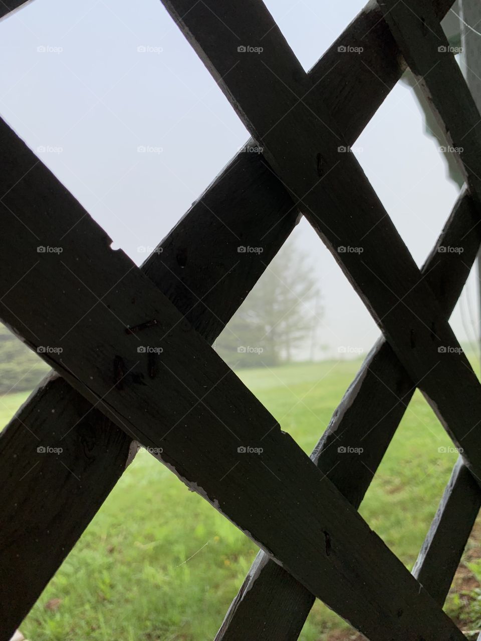 Fog through fence