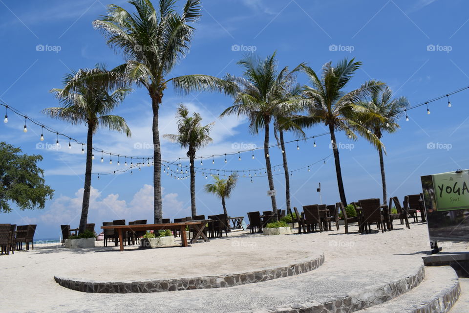 natural landscape at the beach