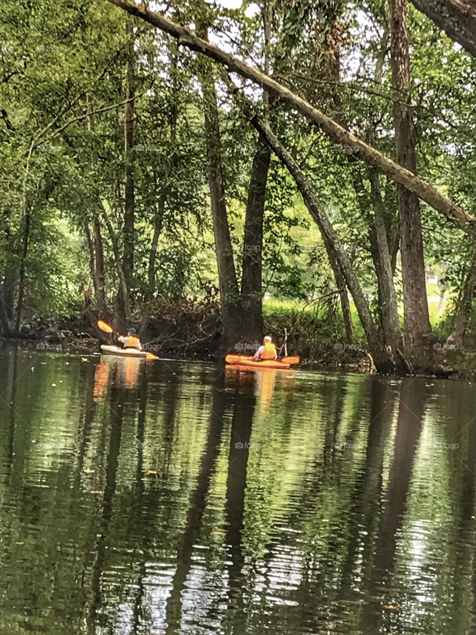 Paddling in a beautiful calm river with friends 