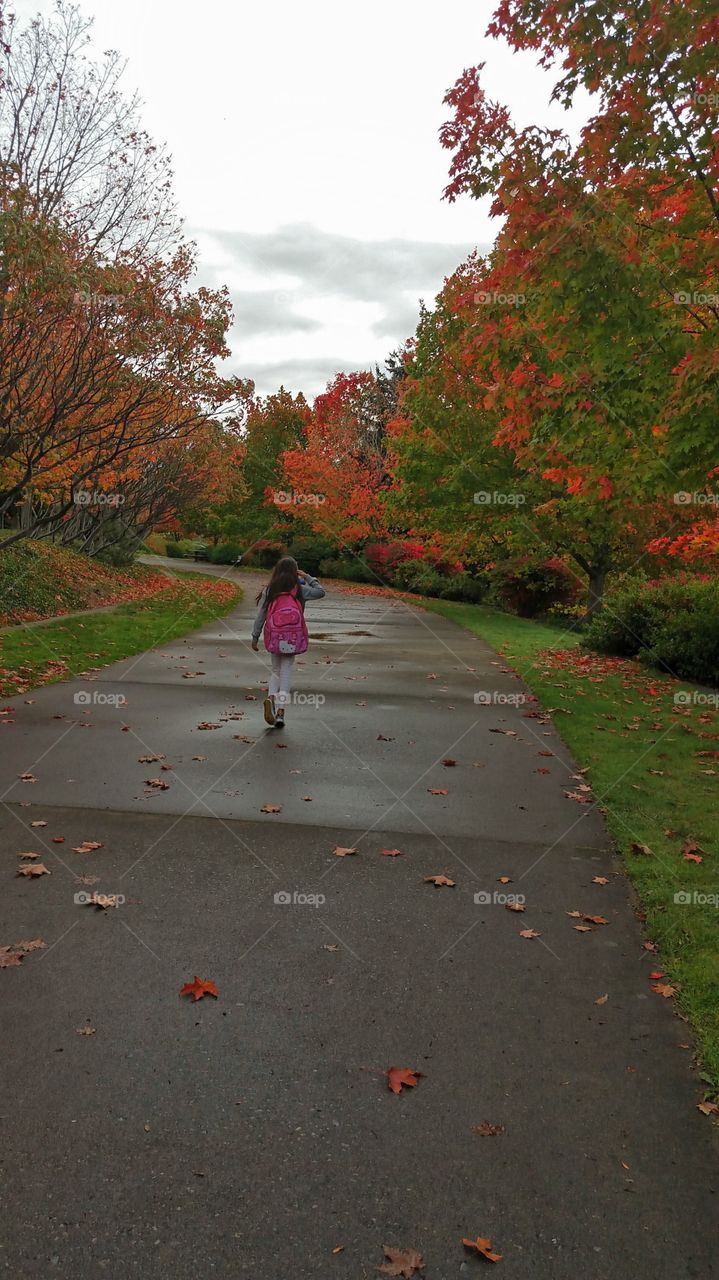 Walking Through Fall