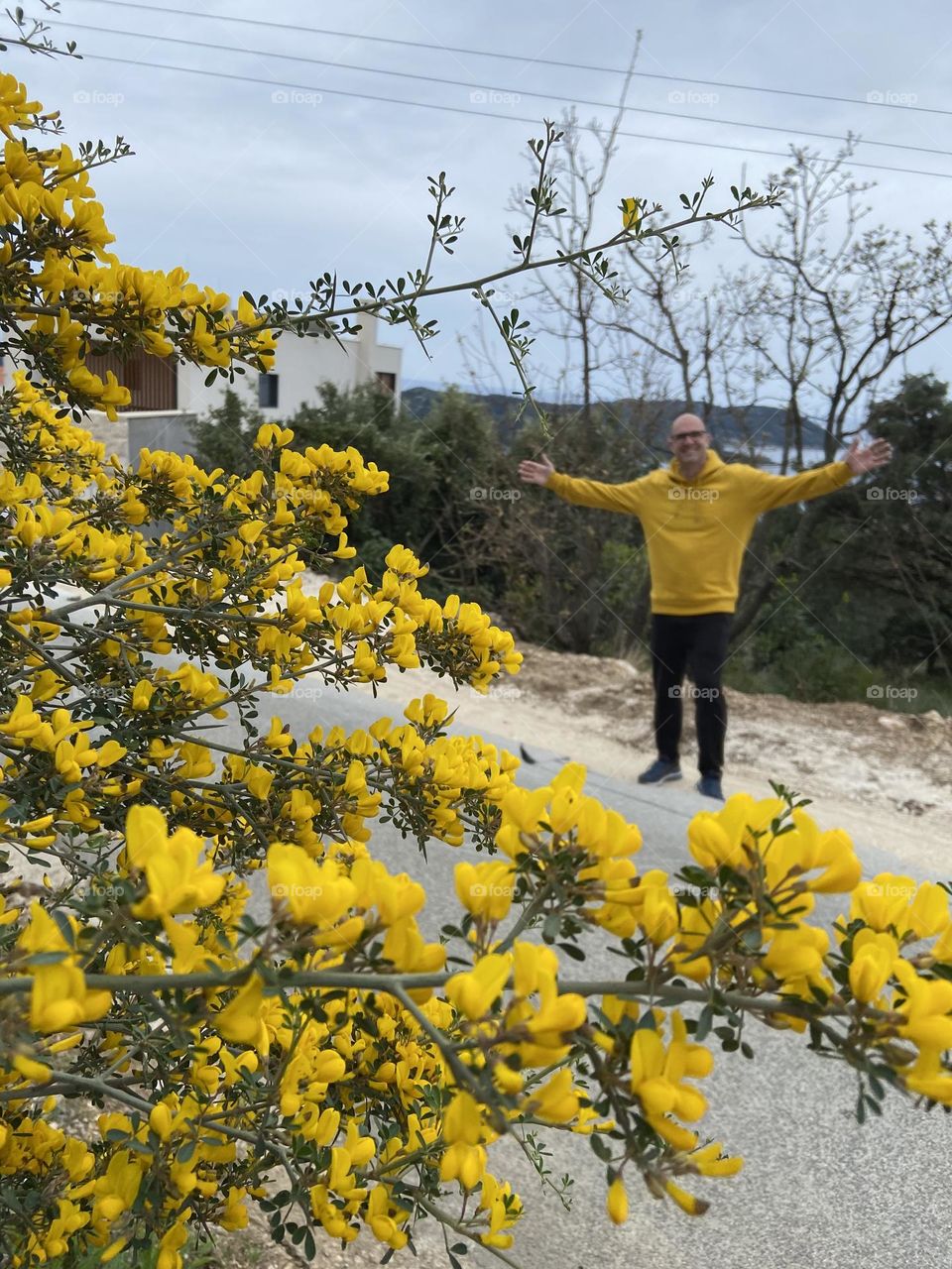 The pure joy of matching your golden sweatshirt to the golden blooms of the trees blossoming in the springtime.