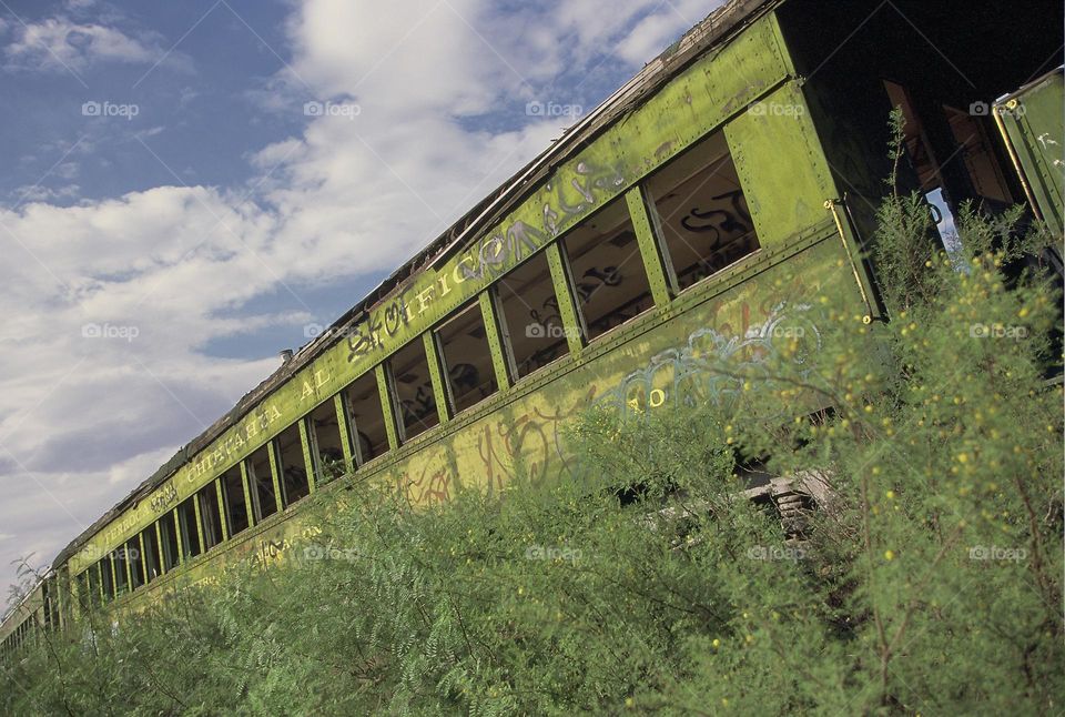 Mexico Landscape