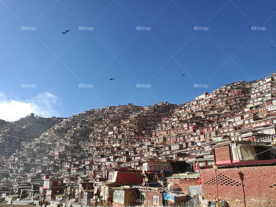 Nun staring into the Valley at Se Da Buddhist Monastery and School in Sichuan Province, China.

Se Da is currently the largest Tibetan Buddhist school in the world and not open to westerners.