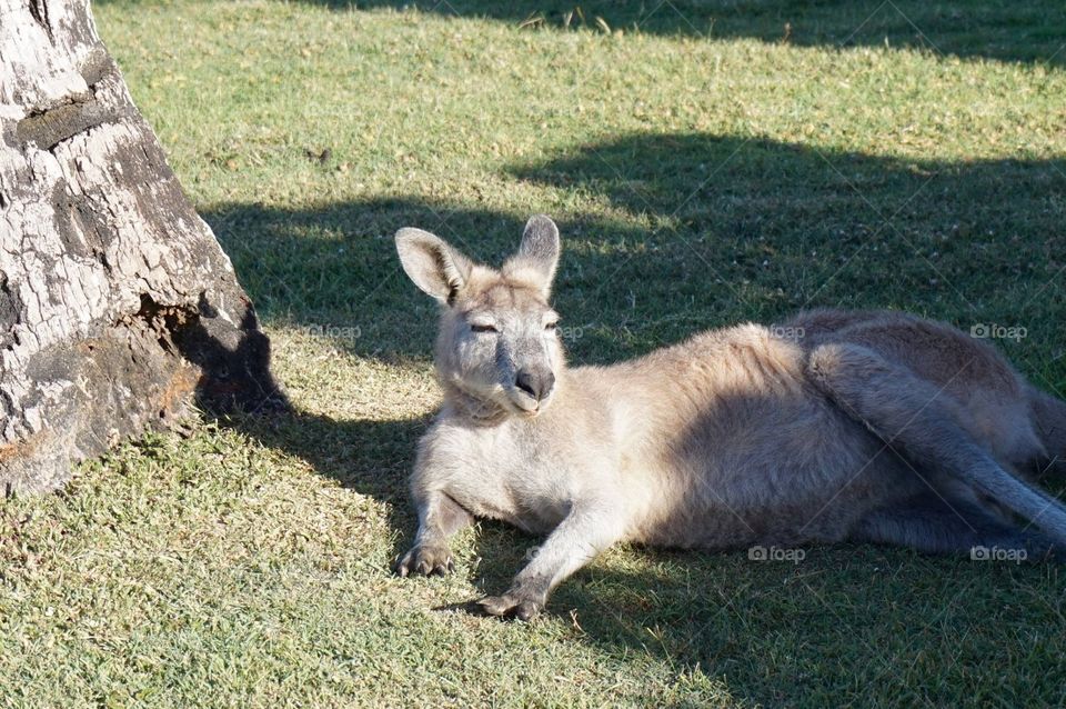 Sunbathing