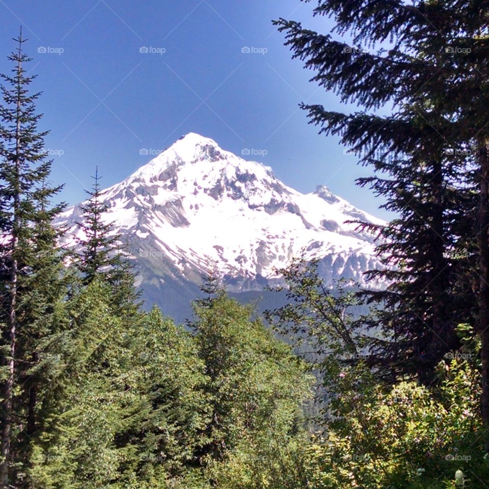 Scenics view of mountain peak in mount hood